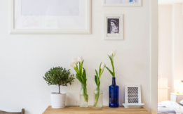 Предимствата на самозалепващите тапети за бързо преобразяване на Вашия дом